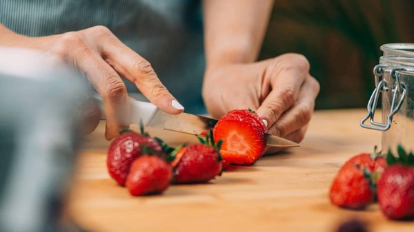Quelles astuces pour maintenir un jardin d'intérieur vivant pendant les vacances ?