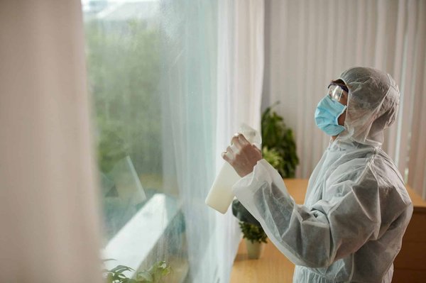 Le guide complet sur les services d'un expert anti-nuisibles dans le Vaucluse